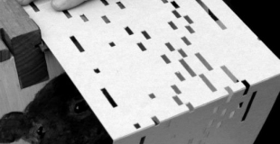 Des p'tits trous, des p'tits trous, toujours des p'tits trous...