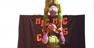 Les numéros professionnel