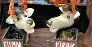 Les rennes Kismok et Kirbic