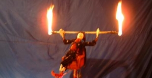 Le Fantastic Shorty!