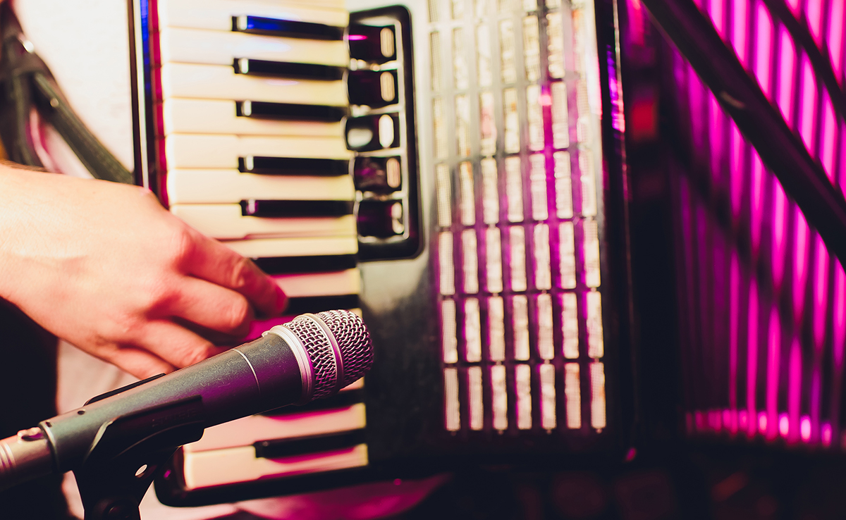 Accordéoniste pour soirée privée, concert, événement public ou privé !