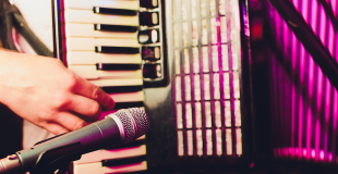 Accordéoniste pour soirée privée, concert, événement public ou privé !