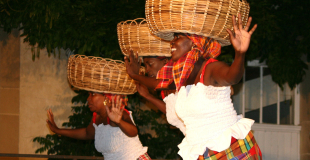 Animation soirée antillaise avec musiciens et danseurs professionnels !