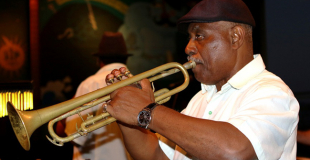 Animation pour soirée cubaine : conseils & devis