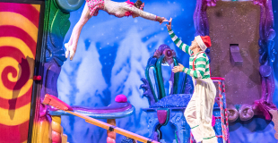 Spectacle de cirque en salle pour arbre de Noël par des artistes circassiens professionnels !