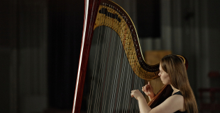 Harpiste pour soirée privée, concert, événement public ou privé !