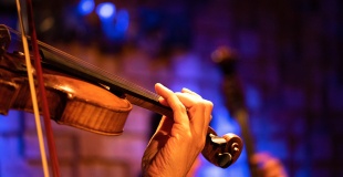 Musique de chambre pour soirée privée, concert, événement public ou privé !