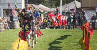Spectacle et animation médiéval pour événement public ou privé !