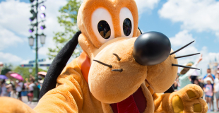 Mascottes géantes pour parade de Carnaval et autres événements !