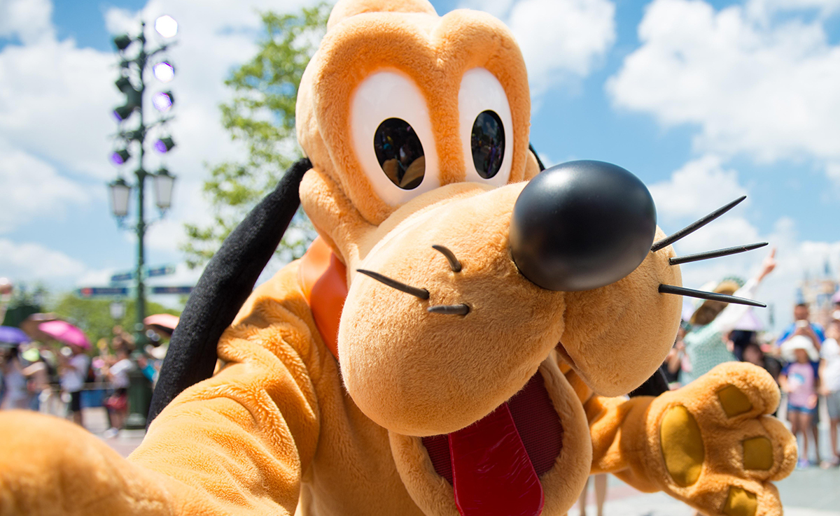 Mascottes géantes pour parade de Carnaval et autres événements !