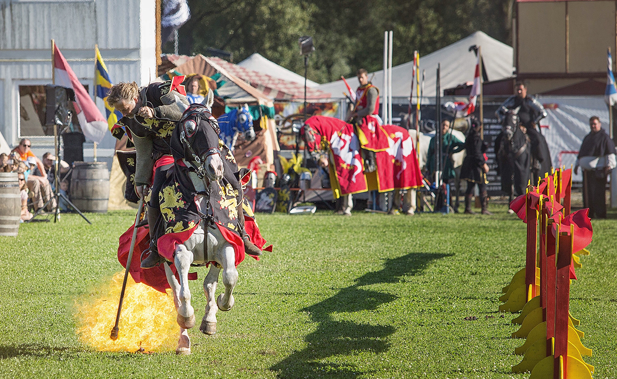 Spectacle et animation médiéval pour événement public ou privé !