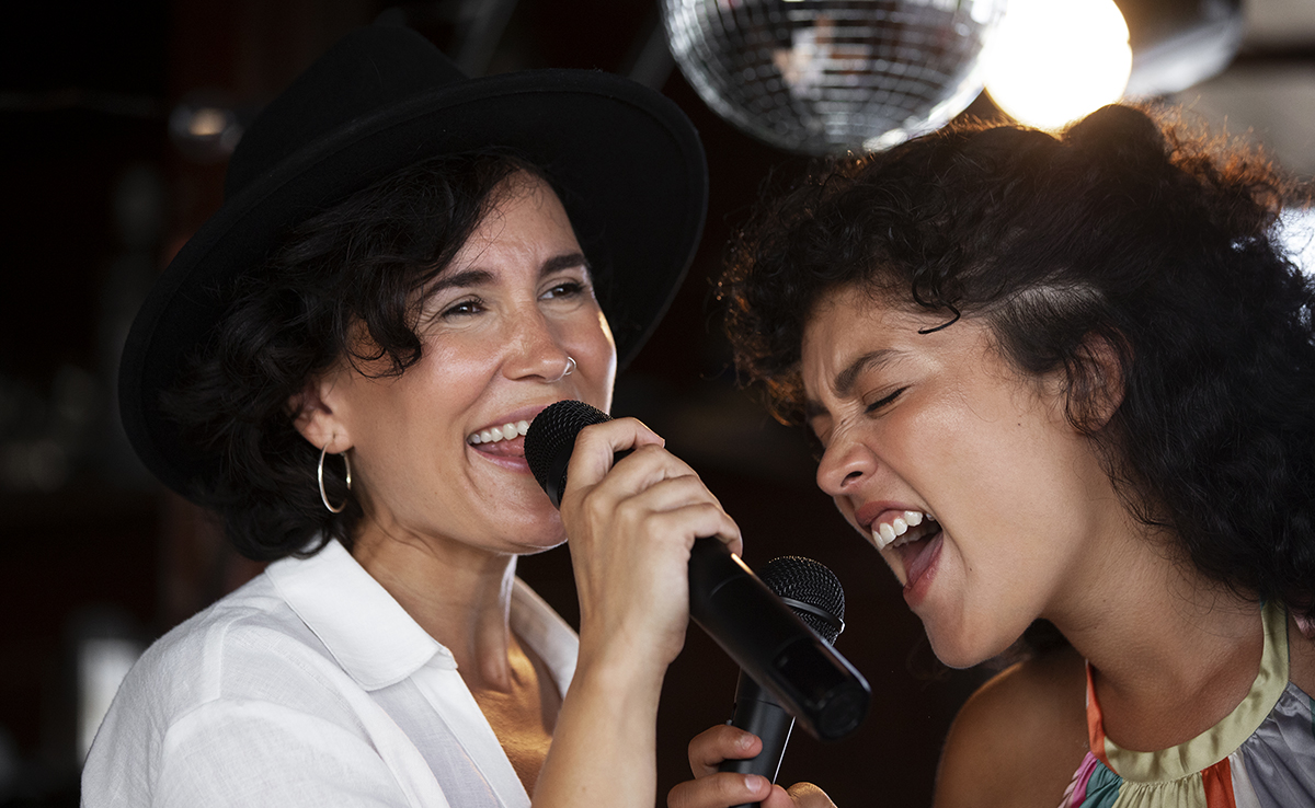 Animation Karaoké avec animateur et DJ professionnel pour soirée privée !