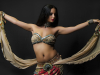 Danseuse du ventre, danseuse orientale pour soirée privée, événement public ou privé !