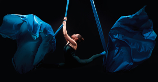 Artésine, plateforme de mise en relation entre artistes du spectacle vivant et organisateurs !