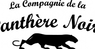 Cie Panthère Noire