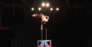 Nestor le contorsionniste