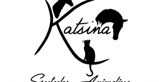 Katsina Spectacles Animaliers