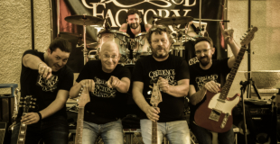 Creedence Factory Band