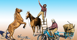 Nicolas Trouillet Horse Show