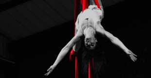 Les Saltimbanques de l'Impossible