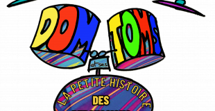 Dom et ses Toms