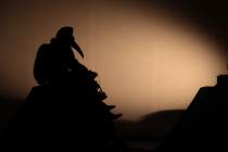 Compagnie de l'Oiseau Jaune