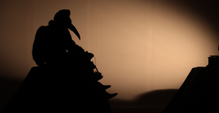 Compagnie de l'Oiseau Jaune