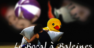 Compagnie Le Bocal à Baleines