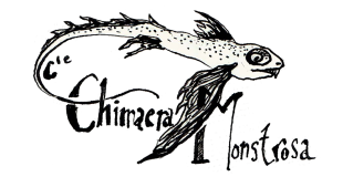 Chimaera