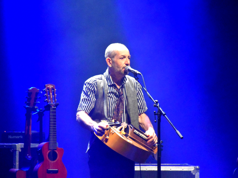 Vielle en roue libre