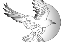 La Compagnie Aile de Corbeau 