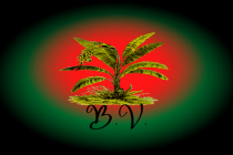 La Bananeraie Volante