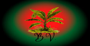 La Bananeraie Volante