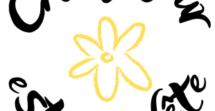 Chaque Jour est une Fête