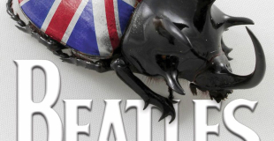Beatles History