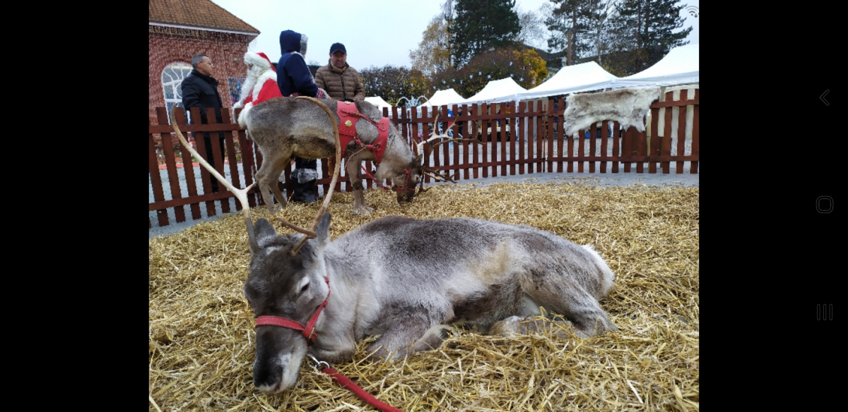 Le petit monde d'Aïlo