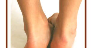 Collectif Scapulo & Barbotine