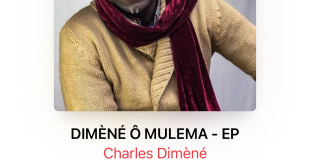 Charles Dimèné & Dcrmlavie