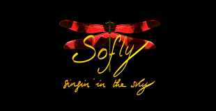 Sofly Singin'in the sky