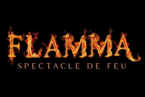 Flamma spectacle de feu