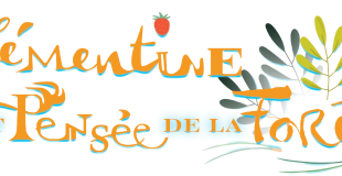 Les Echos des Planches