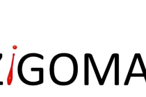 Compagnie les Zigomatiks