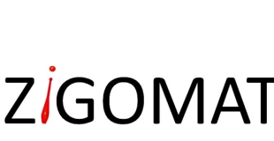 Compagnie les Zigomatiks