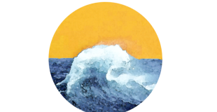 Compagnie Vague Submersion