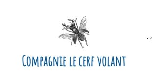 Compagnie le Cerf Volant