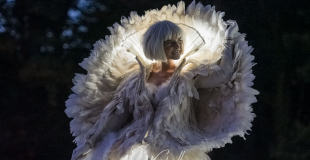 échassiers-spectacle-echassier-animation-spectacles-animations-echassiers-paris-2