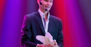 apparition de colombe