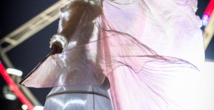 Echassières, blanche, lumineuse, déambulation, rue, féérie, poétique