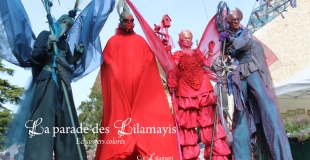 échassiers colorés nature fleurs oiseaux - Cie Lilamayi fête de la nature