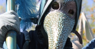 échassiers colorés nature fleurs oiseaux - Cie Lilamayi fête de la nature